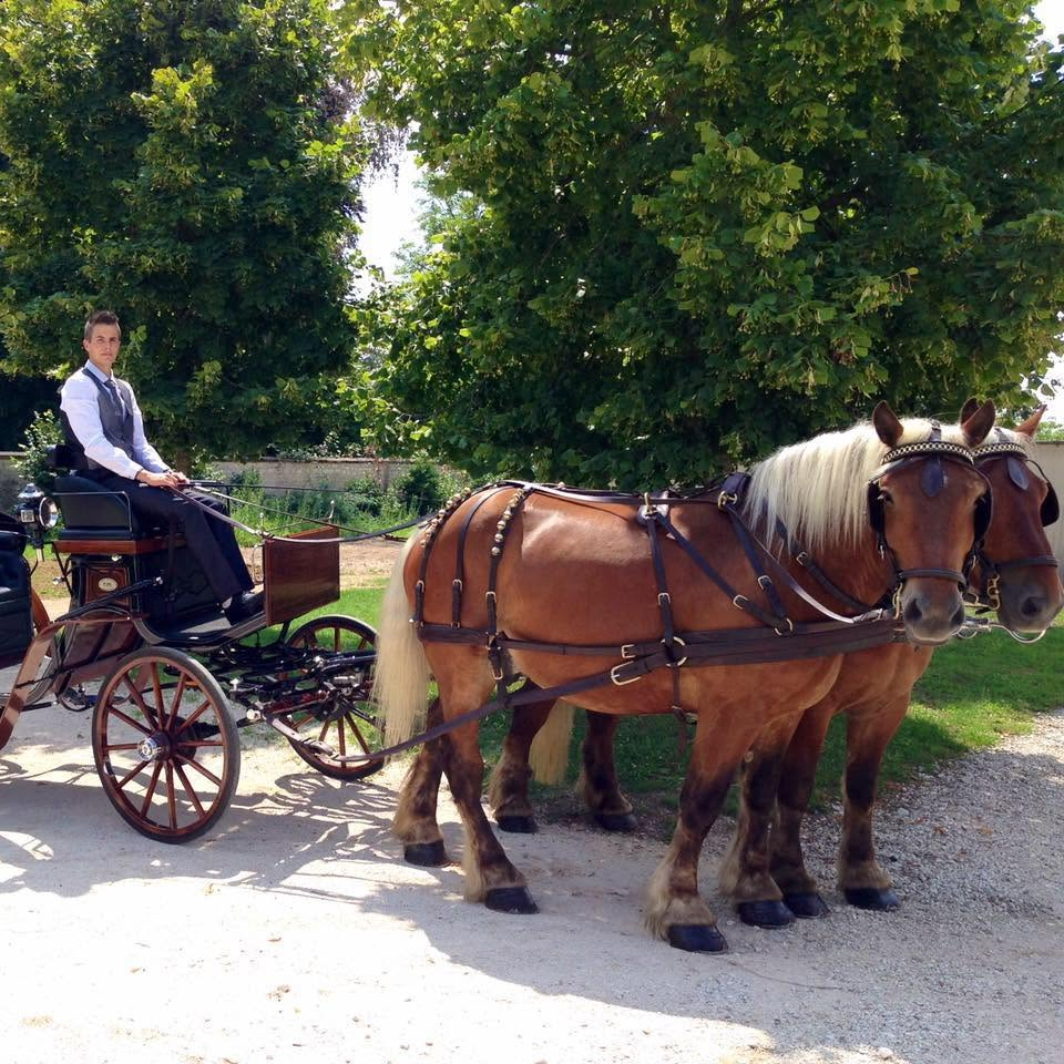 Les Attelages du Val d’Amour
